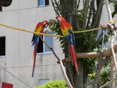 P1020316