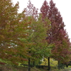 広島広域公園