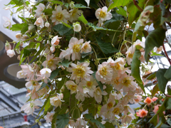 P1010758