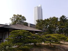 P1040726g
