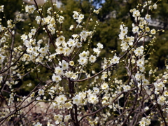 004_P1040649g