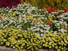 P1050357