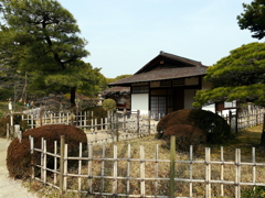 P1040733g