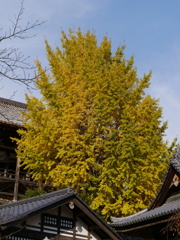 P1000187