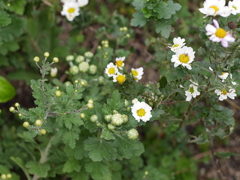 P1050537