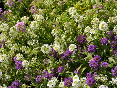 P1050462