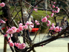 020_P1040685g
