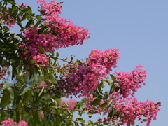 P1030162