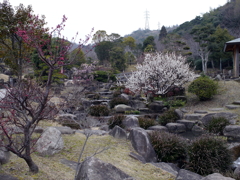 P1040856g