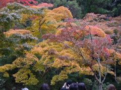 P1000269