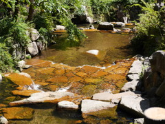 P1030408