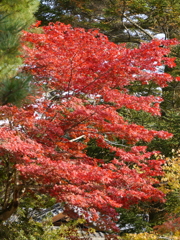 P1000220