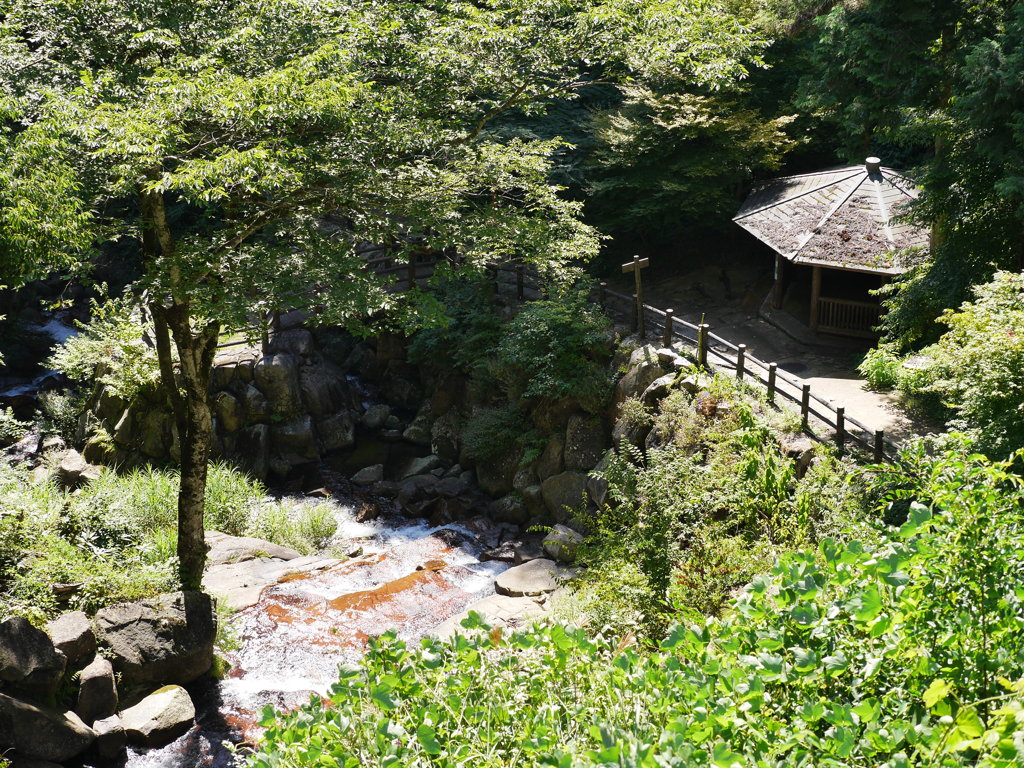 P1030361