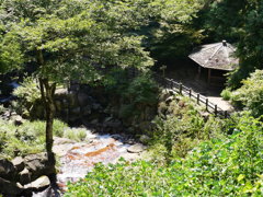 P1030361