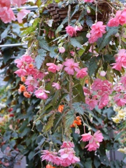 P1010777