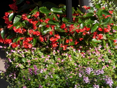 P1050277