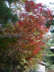 P1000209