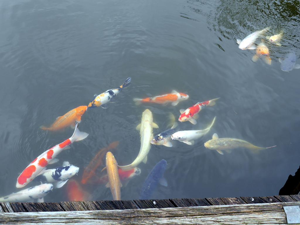 縮景園