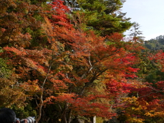 P1000215