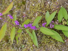 P1050543