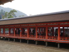 P1000356