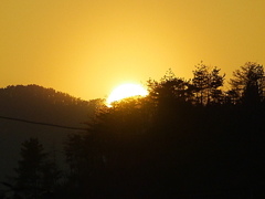 夕日
