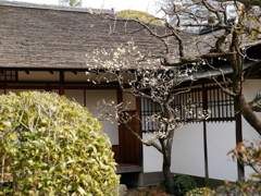 P1040727g