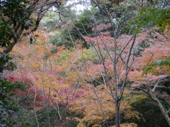 P1000286