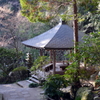 P1080674 三滝寺