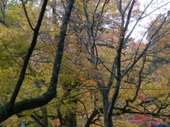 P1000265