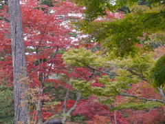 P1000297