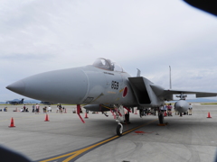 P1040238