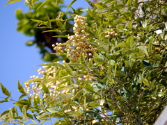 P1010328