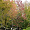 広島広域公園