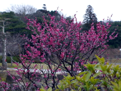 P1040847g
