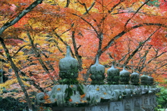 佛通寺の紅葉