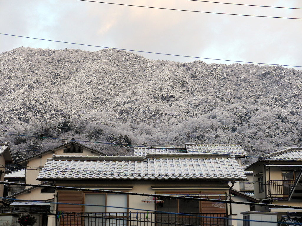P1080490 寒い朝
