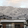 P1080490 寒い朝