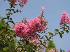 P1020935