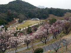 P1040917g