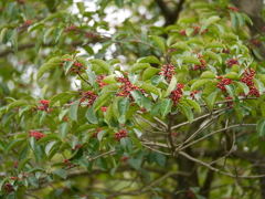 広島広域公園