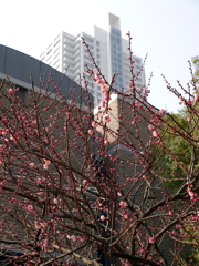 018_P1040682g