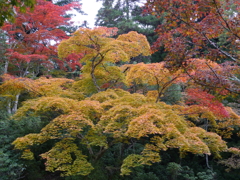 P1000270