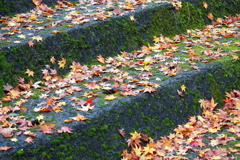 佛通寺の紅葉