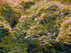 P1000273