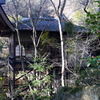P1080722 三滝寺