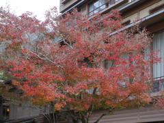 P1000206