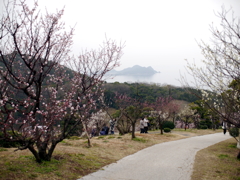 P1050032g