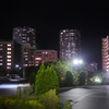 P1040004
