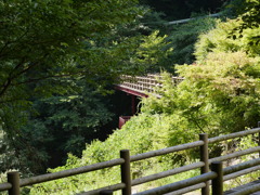 P1030395